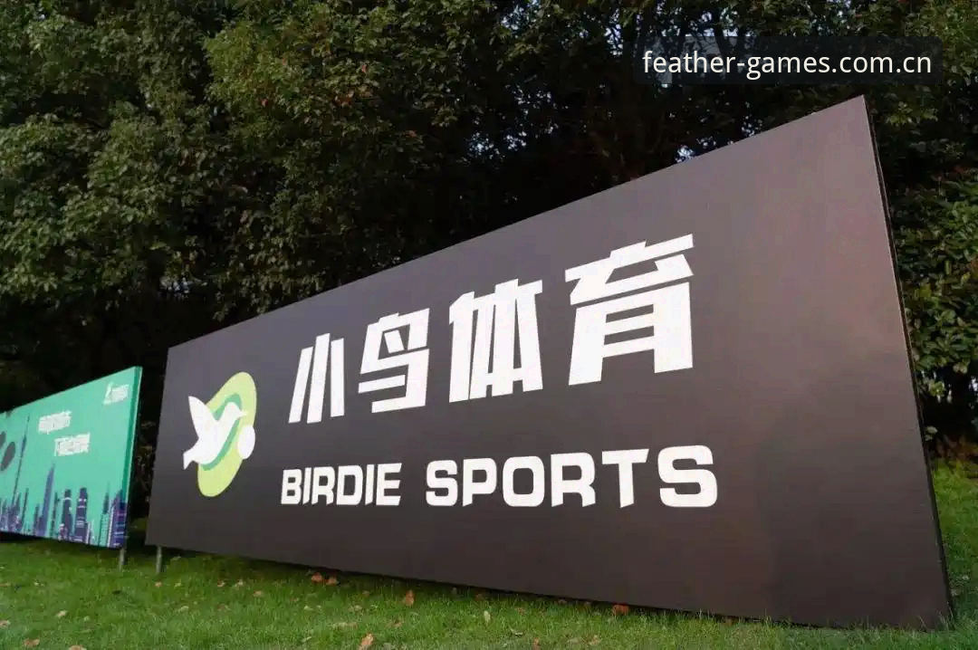 小鸟体育CN赛事数据同步至v2.1.0，网页登录一步直达赛程与实时比分